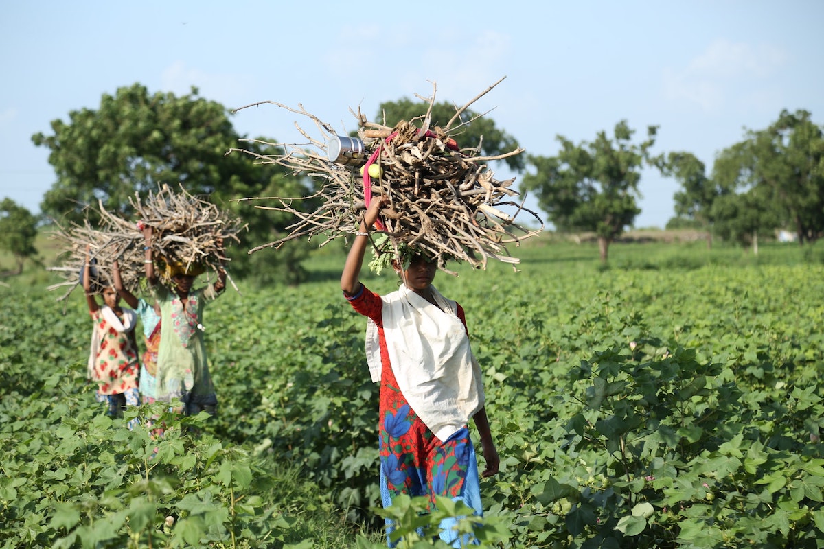 Persistence of solid fuel use in rural north India